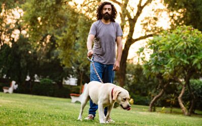 How a dog walking service can enhance your pet’s well-being?