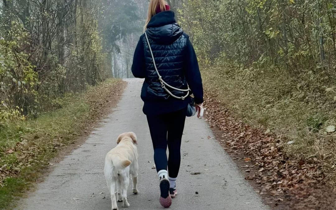 When Is It Time to Hire a Dog Walking Service, Expert dog walking services in delhi.